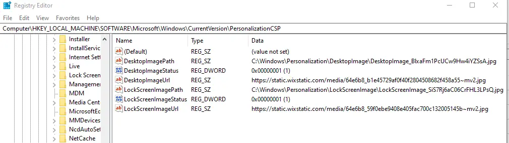 PersonalizationCSP Registry keys on windows 10 / Windows 11