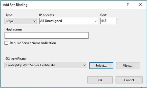 IIS Server Bindings