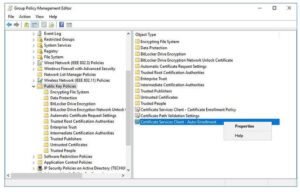 How to Issue & Auto enroll Client Authentication Certificate for SCCM ...